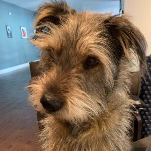 Meet your Posher, Katrina